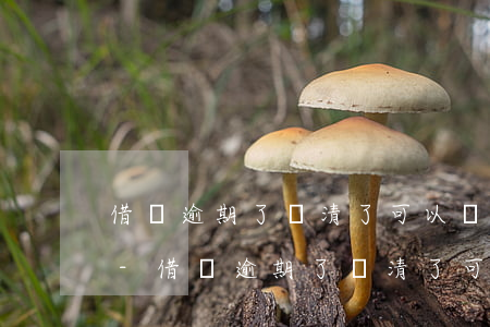 借唄逾期了還清了可以繼續(xù)使用嗎-借唄逾期了還清了可以繼續(xù)使用嗎