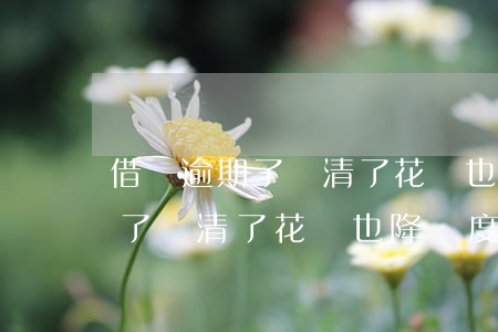 借唄逾期了還清了花唄也降額度-借唄逾期了還清了花唄也降額度了