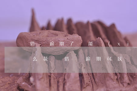 借唄逾期了還能協(xié)商分多期還款么(花唄借唄逾期可以協(xié)商分多少期還款)