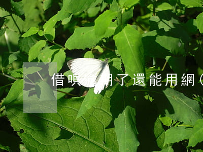 借唄逾期了還能用網(wǎng)貸嗎