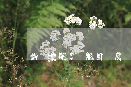 借唄逾期了還能用額度嗎(借唄逾期了還能借錢?)