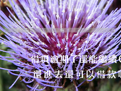 借唄逾期了還能繼續(xù)借嗎(借唄逾期還進去還可以借款嗎?)