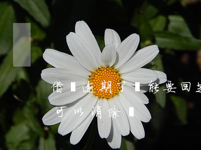 借唄逾期了還能要回芝麻嗎(借唄逾期用芝麻可以消除嗎)