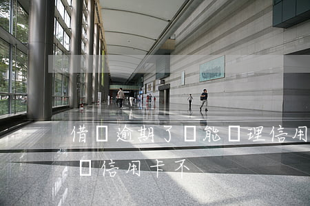 借唄逾期了還能辦理信用卡嗎(借唄逾期可以辦信用卡不)