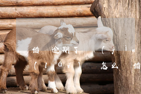 借唄逾期了還進(jìn)去還可以刷出來(lái)嗎怎么辦（借唄逾期了還進(jìn)去還可以刷出來(lái)嗎）