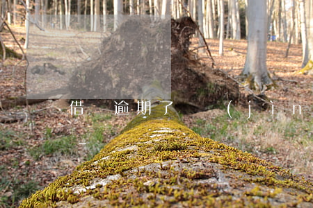 借唄逾期了還進(jìn)去還能借出來嗎-