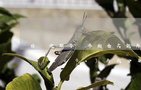 借唄逾期了顯示剩余欠款再分期(借唄逾期出現(xiàn)再次分期)