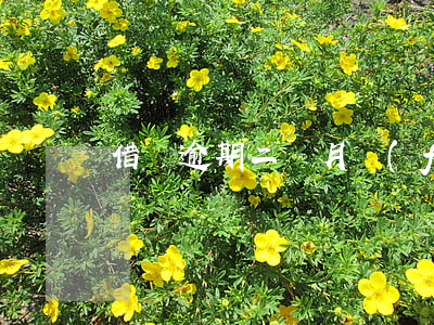 借唄逾期二個月發(fā)律師函
