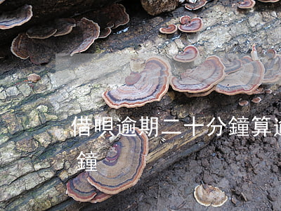 借唄逾期二十分鐘算逾期嗎(借唄逾期30分鐘)
