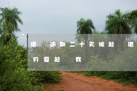 借唄逾期二十天被起訴(借唄逾期11萬一個月要起訴我)