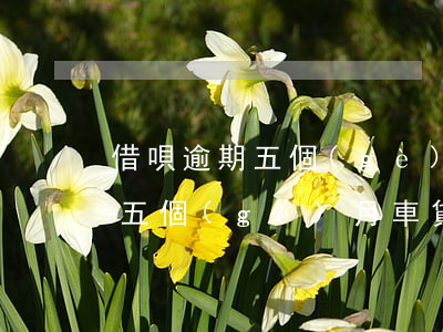 借唄逾期五個(gè)月6000(借唄逾期五個(gè)月車貸)