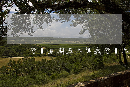 借唄逾期五六年 我借唄六萬都逾期1年了