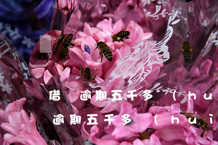 借唄逾期五千多會(huì)被起訴嘛 借唄逾期五千多會(huì)被起訴嘛