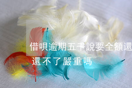 借唄逾期五千說要全額還清(借唄逾期四千多還不了嚴重嗎)