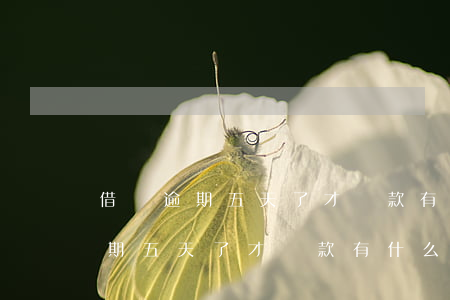 借唄逾期五天了才還款有什么后果-借唄逾期五天了才還款有什么后果嗎