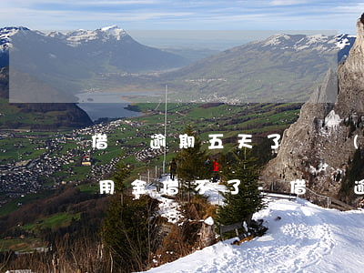 借唄逾期五天了還進(jìn)去為什么備用金借不了-借唄逾期五天了還進(jìn)去為什么備用金借不了了