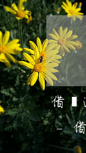 借唄逾期五天全額還款額度沒(méi)啦-借唄逾期五天全額還款額度沒(méi)啦怎么辦