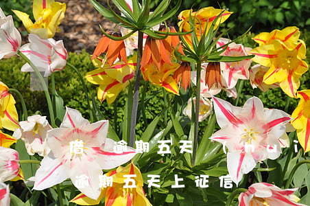 借唄逾期五天會(huì)影響征信嗎(借唄逾期五天上征信嗎)
