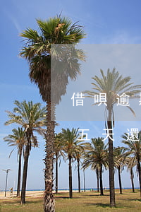 借唄逾期五天還了還能取出來嗎-借唄逾期五天還了還能取出來嗎