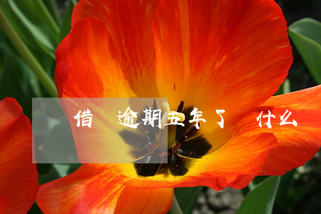 借唄逾期五年了為什么沒有被起訴