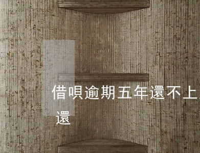 借唄逾期五年還不上怎么辦(借唄逾期五年沒還)