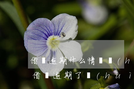 借唄逾期什么情況會(huì)起訴(支付寶借唄逾期了會(huì)不會(huì)起訴)