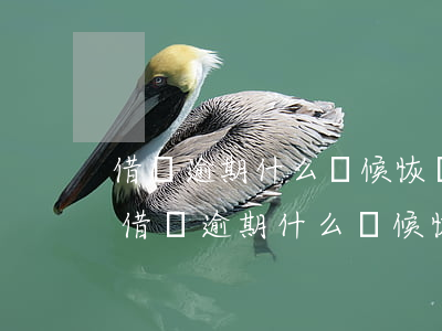 借唄逾期什么時候恢復(fù)正常使用-借唄逾期什么時候恢復(fù)正常使用了