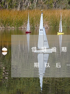 借唄逾期以后一年可以只還本金不-借唄逾期以后一年可以只還本金不還利息嗎