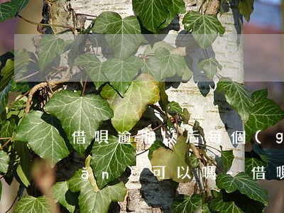 借唄逾期以后每個(gè)月還一點(diǎn)可以嗎-借唄逾期以后每個(gè)月還一點(diǎn)可以嗎