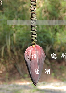 借唄逾期但是每個月還一些會被起訴嗎(借唄逾期兩個月會被起訴嗎?)