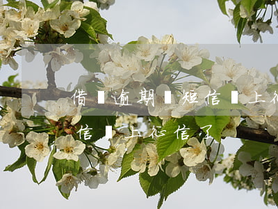 借唄逾期來短信說上征信(借唄發(fā)短信說上征信了)