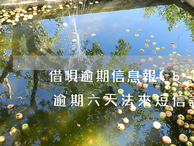 借唄逾期信息報(bào)送人民銀行(借唄逾期六天法來短信說報(bào)送人民銀行數(shù)據(jù)庫)