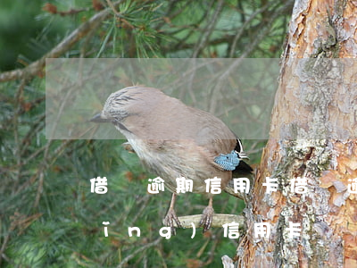 借唄逾期 信用卡（借唄逾期一年可以申請(qǐng)信用卡嗎）