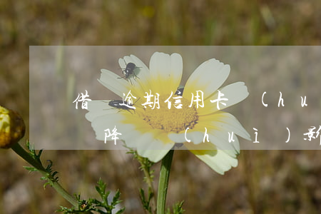借唄逾期信用卡會(huì)封卡降額嗎 借唄降額會(huì)影響信用卡嗎