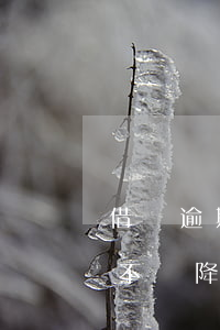 借唄逾期信用卡會停么(借唄逾期了信用卡會不會降額)