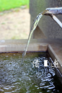 借唄逾期倆天怎么不能用了