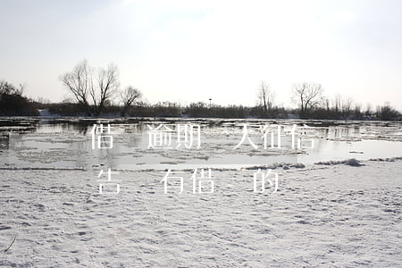 借唄逾期個人征信沒記錄(為什么我的征信報告沒有借唄的記錄)