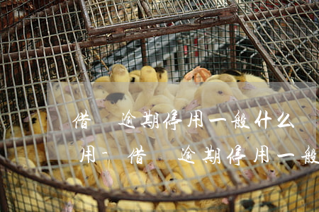 借唄逾期停用一般什么時(shí)候可以用?-借唄逾期停用一般什么時(shí)候可以用