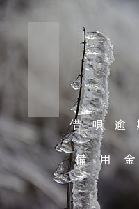 借唄逾期備用金什么時候可以用-借唄逾期備用金什么時候可以用啊