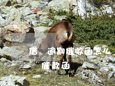 借唄逾期催收函怎么寫(借唄逾期發(fā)來催款函)
