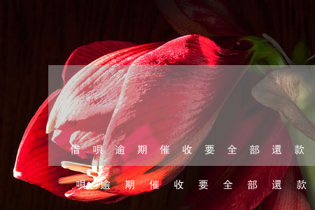 借唄逾期催收要全部還款什么辦法解決-借唄逾期催收要全部還款什么辦法解決呢