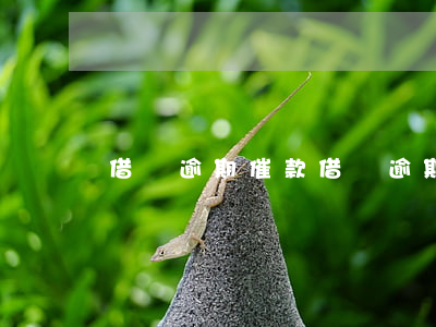 借唄逾期 催款(借唄逾期催款電話是什么電話)