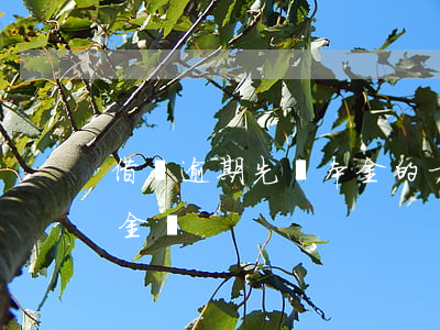 借唄逾期先還本金的方式(借唄提前還要違約金嗎)