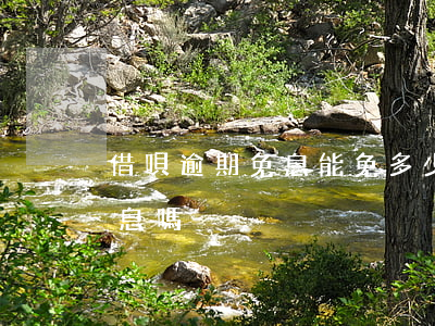 借唄逾期免息能免多少(借唄逾期可以申請免息嗎)
