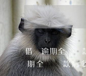 借唄逾期全額還款后多久可以使用-借唄逾期全額還款后多久可以使用額度