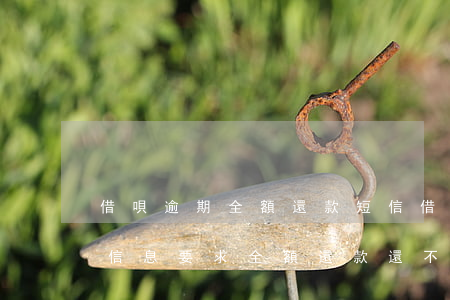 借唄逾期全額還款短信(借唄逾期發(fā)信息要求全額還款還不進去)