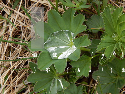 借唄逾期兩個(gè)多月沒還會(huì)不會(huì)起訴-借唄逾期兩個(gè)多月沒還會(huì)不會(huì)起訴我