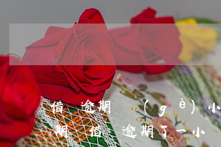 借唄逾期兩個(gè)小時(shí)算逾期嗎(借唄逾期了一小時(shí))