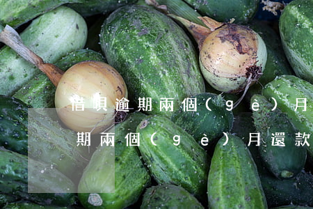 借唄逾期兩個(gè)月還能使用嗎(借唄逾期兩個(gè)月還款后為什么不能正常使用)