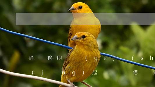 借唄逾期兩個(gè)說(shuō)已經(jīng)起訴(螞蟻借唄逾期2年了說(shuō)是要起訴怎么辦)